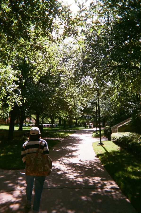 A student walks down a tree-lined path on campus.