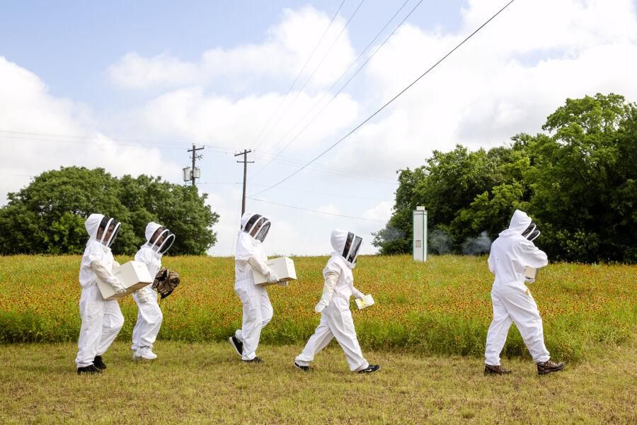 Students walk in beekeeper suits in a field to install new bee hives.