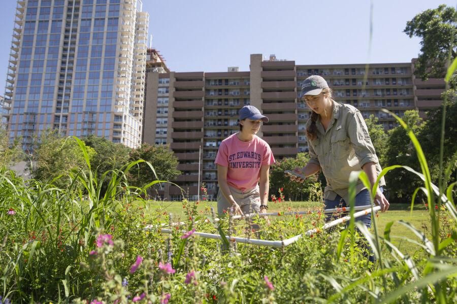 The image depicts three individuals in a garden surrounded by greenery and pink flowers. Two people are tending to the plants, one holding a gardening tool. The central figure wears a shirt with obscured text. The background features tall buildings, suggesting an urban setting. This urban gardening scene highlights the integration of green spaces within cities.