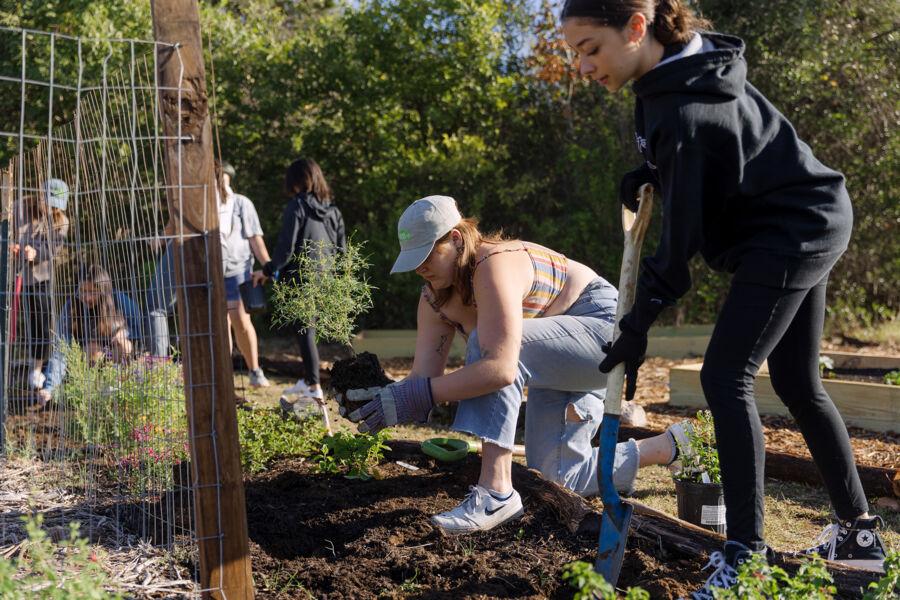 students doing outdoor service with plants