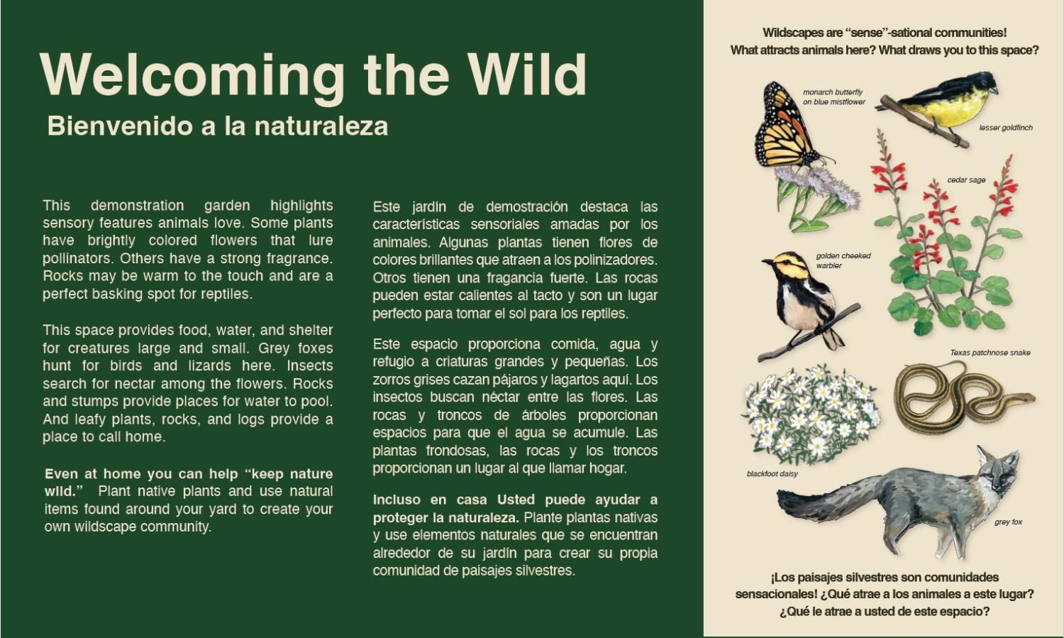 Card describing Welcoming the Wild