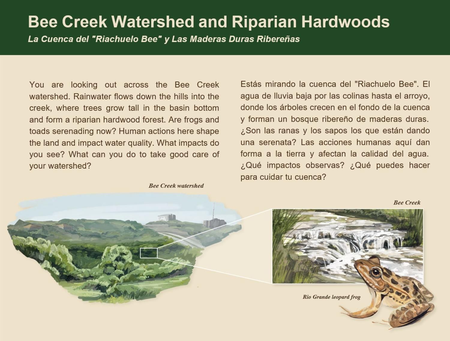 A card describing Bee Creek Watershed and Riparian Hardwoods