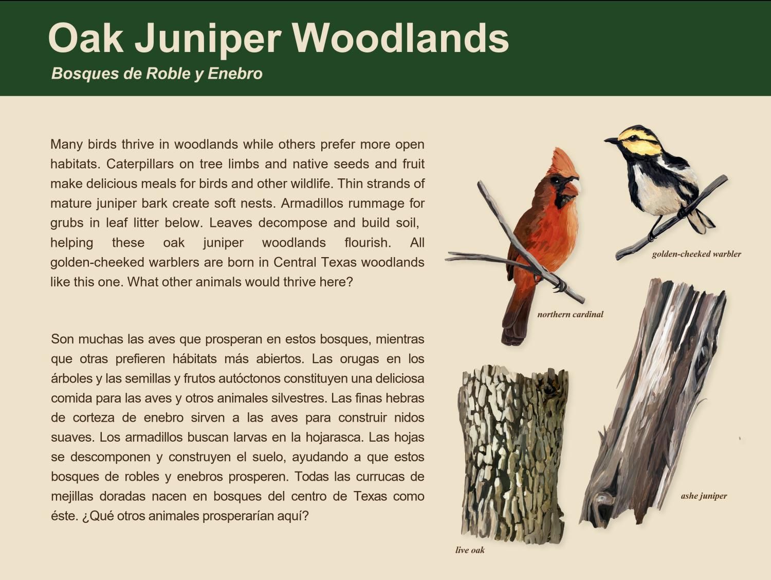 A card describing the Oak Juniper Woodlands