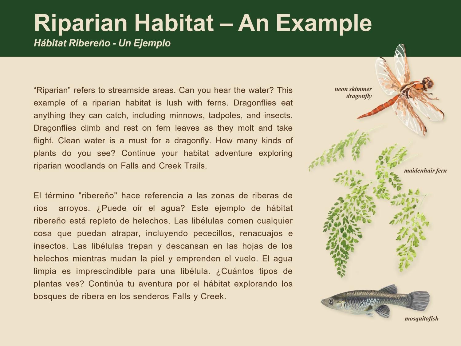 A card describing the Riparian Habitat