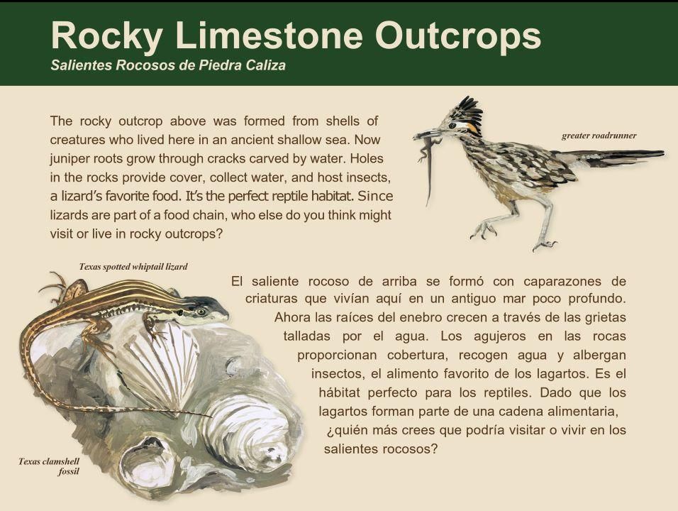 A card describing Rocky Limestone Outcrops