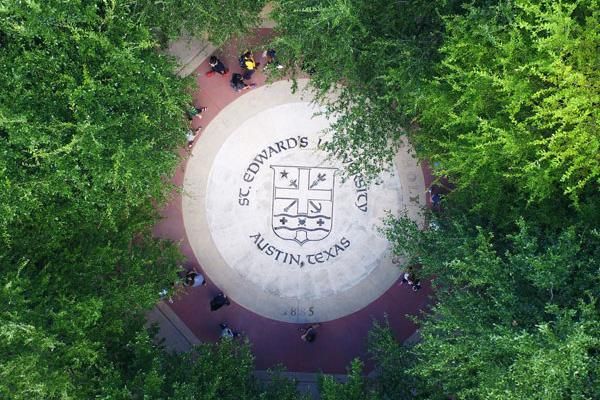 seal from the bird eye view