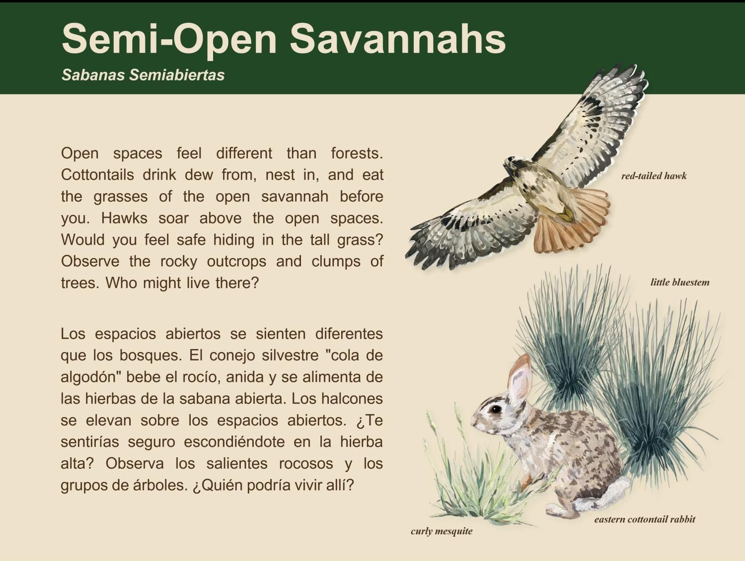 A card describing semi-open savannahs